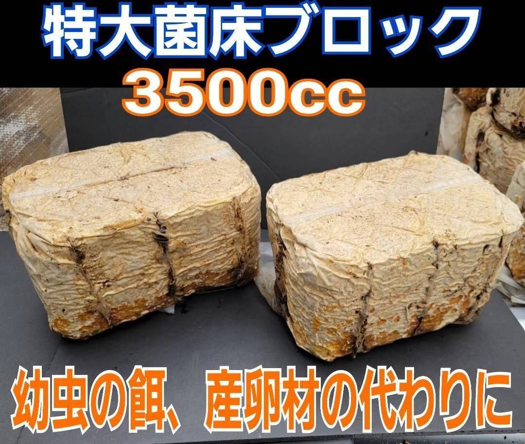 椎茸廃菌床ブロック☆クワガタ幼虫の餌、産卵木の代わりに！クヌギ