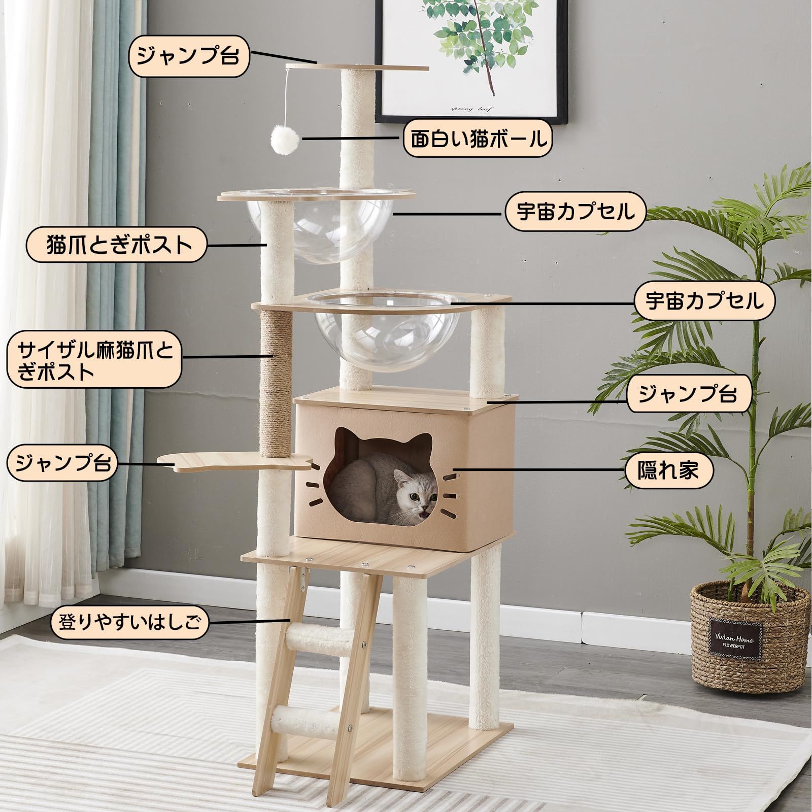 おしゃれ