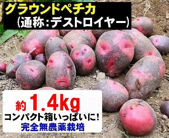 デストロイヤー 新じゃが 掘り立て 栽培期間中 無農薬 無肥料 2025年6月から】無農薬 デストロイヤー(じゃがいも) – Organic