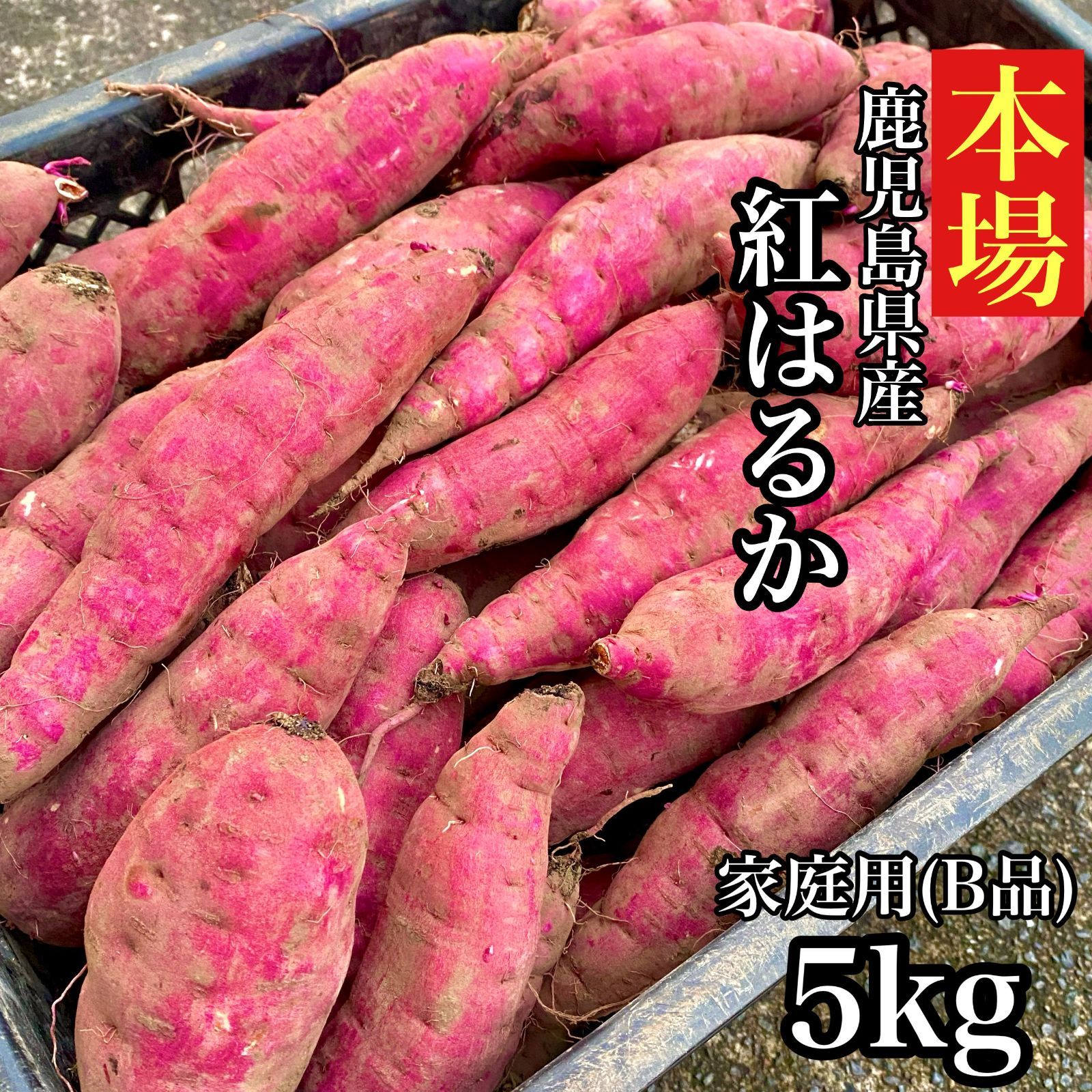 600円OFFクーポン◎【本場】紅はるか 訳あり 5kg さつまいも シルクスイート好きに