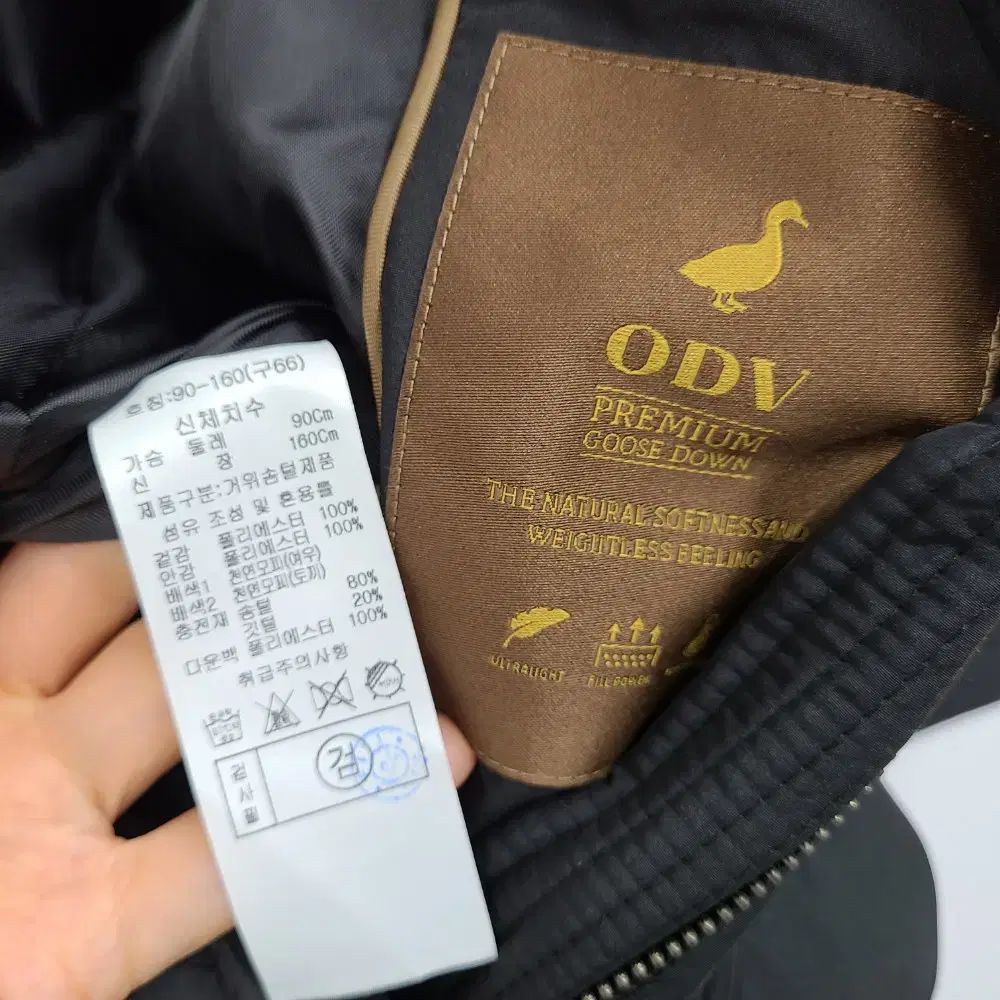 ODV