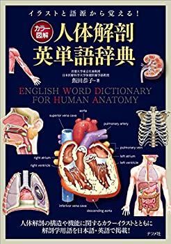 【中古-非常に良い】 カラー図解 人体解剖英単語辞典