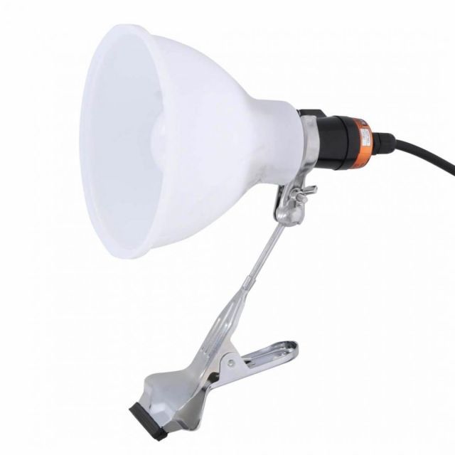 雲龍鐔　埋忠派？　真鍮地変り形雲龍図鐔　高肉彫　両櫃孔　埋忠就方　金工鐔　桐箱入 雲龍鐔 埋忠派？ 真鍮地変り形雲龍図鐔 高肉彫 両櫃孔 埋忠就方 金工鐔