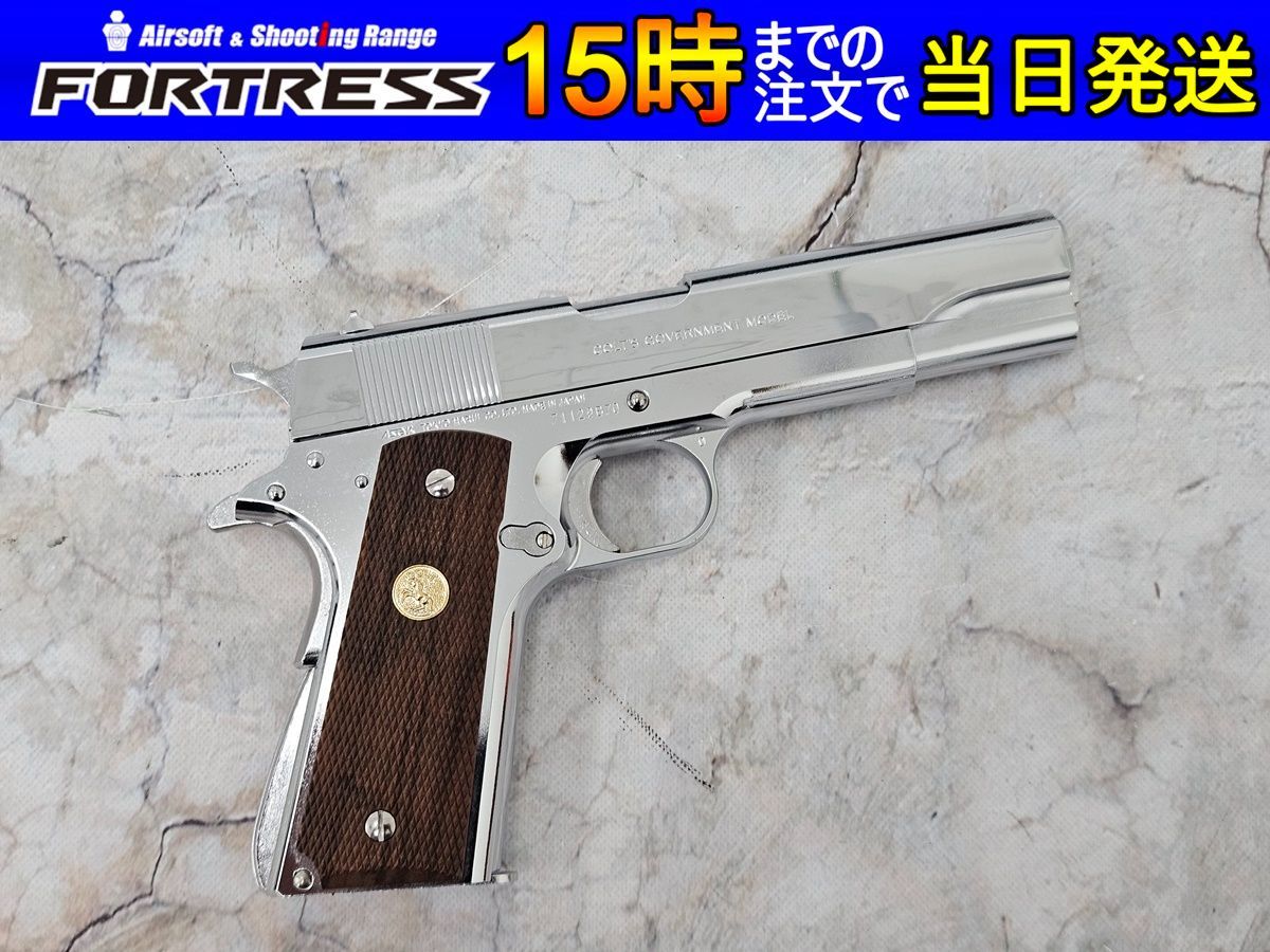 ガバメント