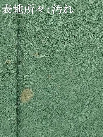 平和屋着物□上質な色無地 草花地紋 木賊色 正絹 逸品 aaax7175fw  