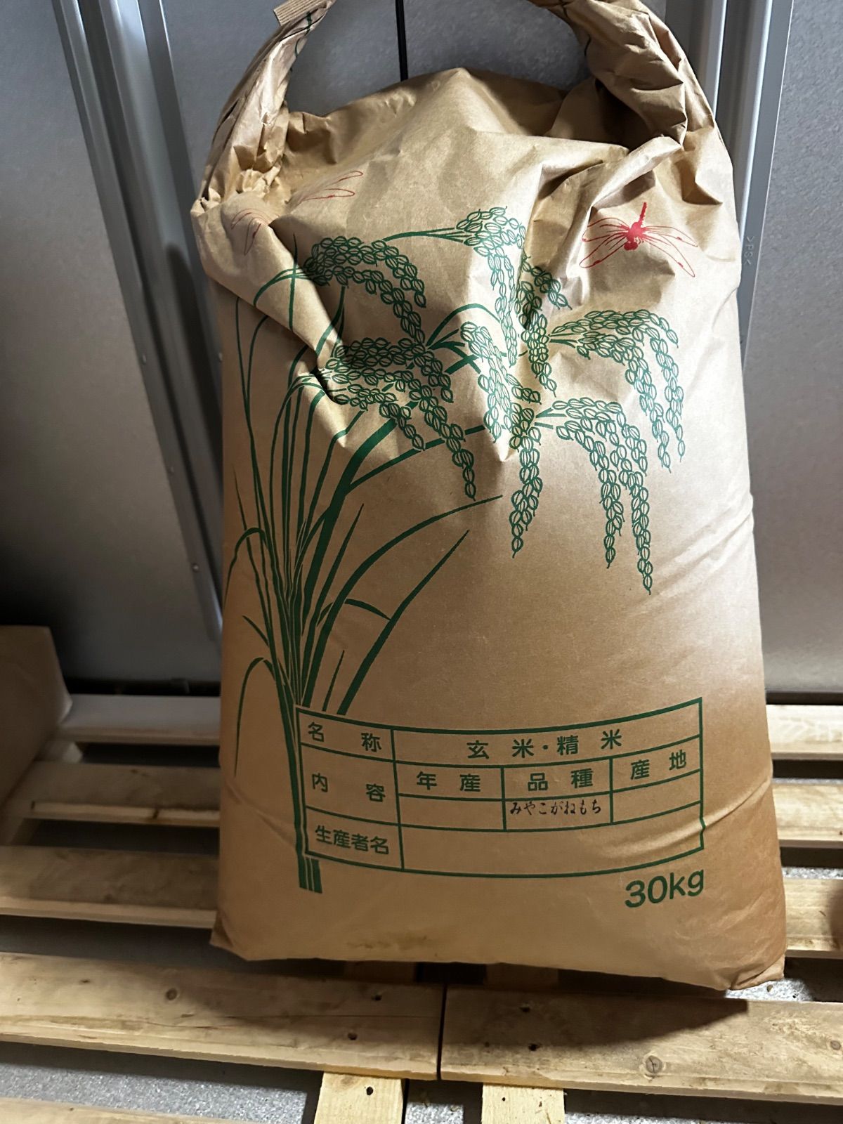 北海道 きたゆきもち もち米 30kg