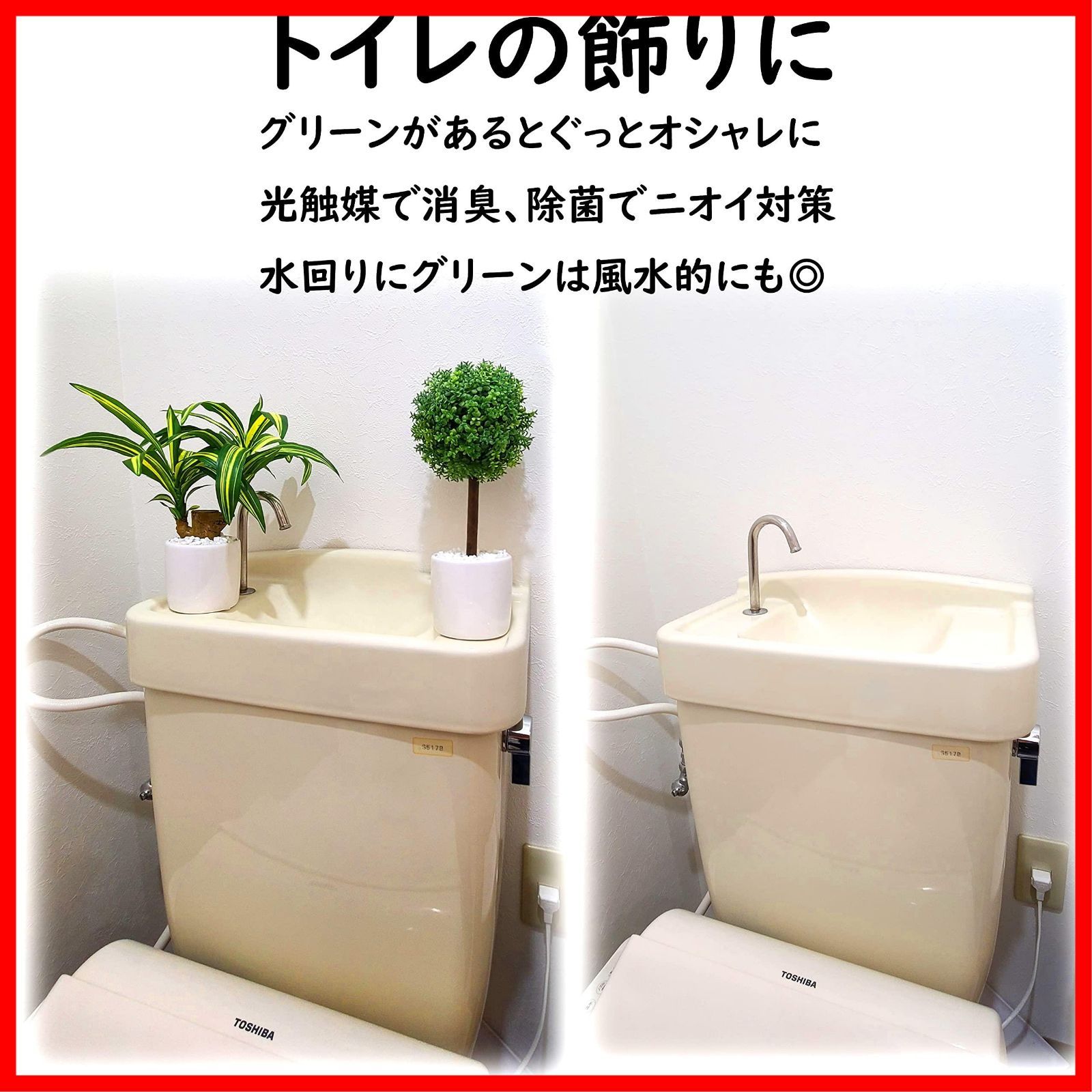 インテリアグリーン 観葉植物