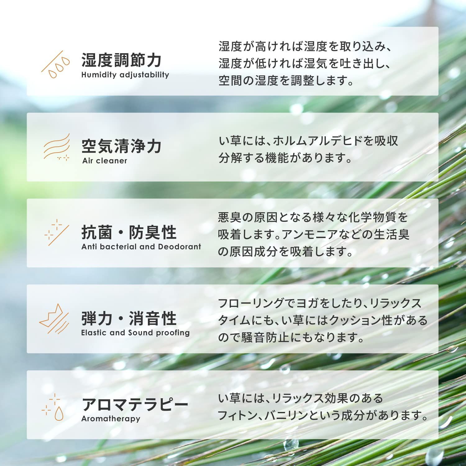 江戸間8畳 柳川