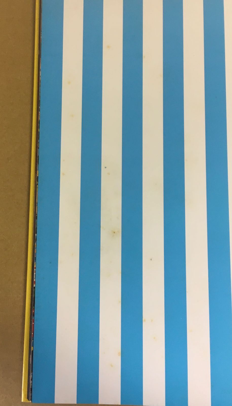 サザンオールスターズ 1999 素敵な春の逢瀬 パンフレット + サングラス