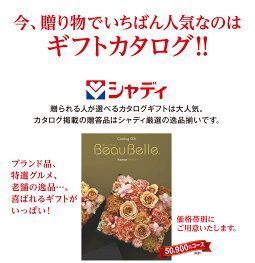 900円コース