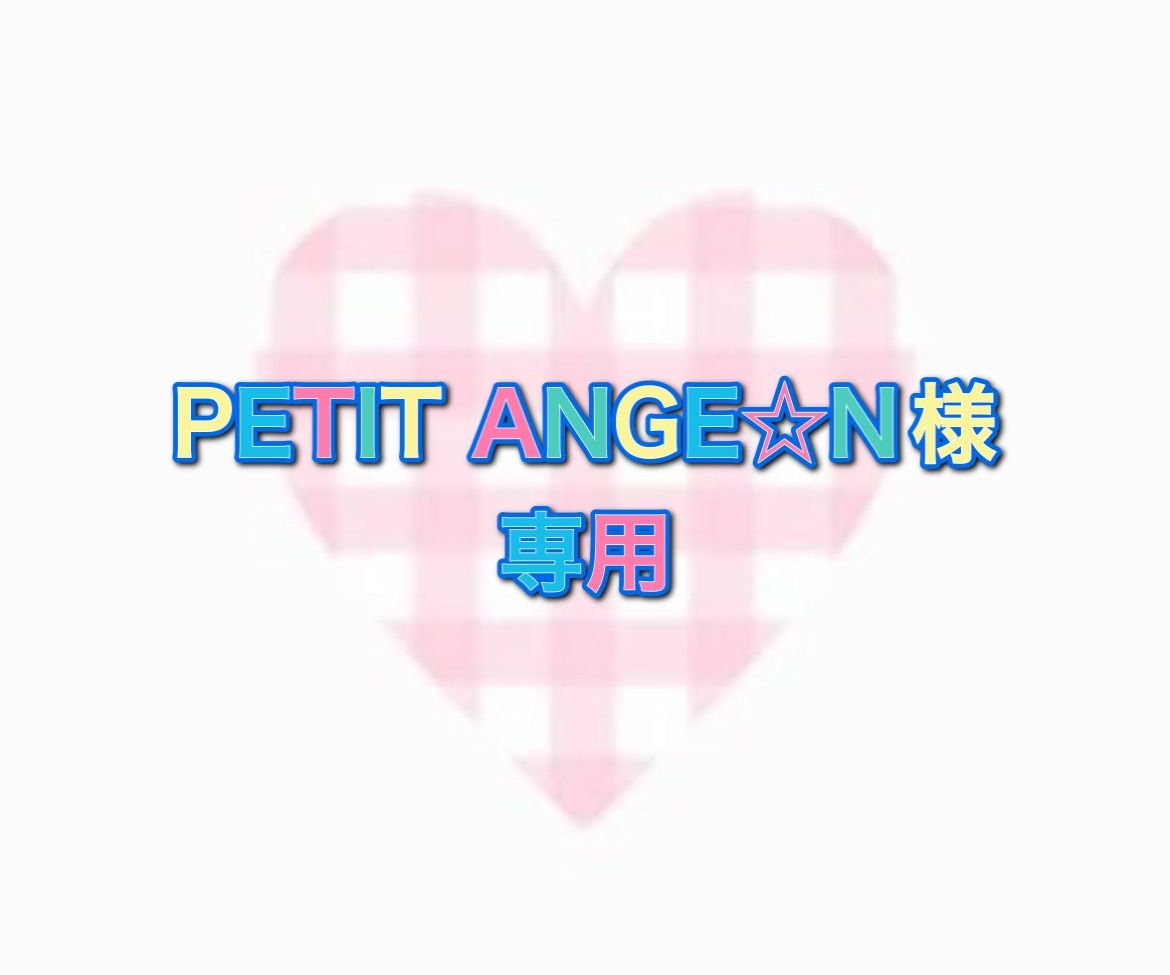 PETIT ANGE☆N様専用ページ