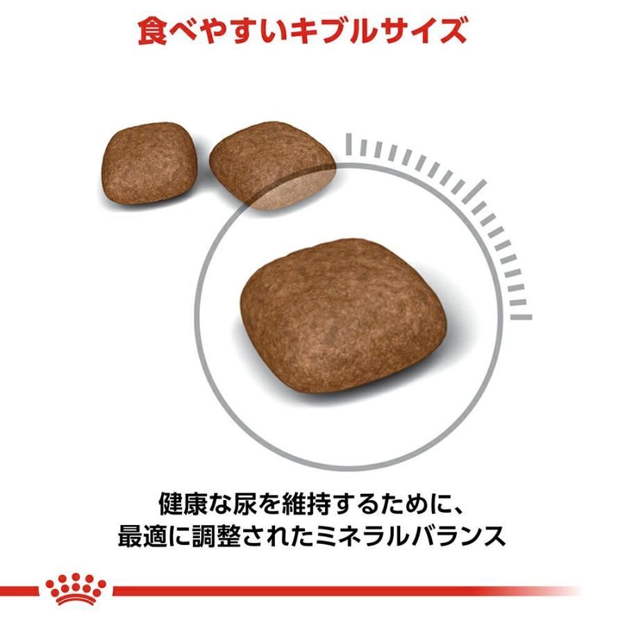 生後１２ヵ月齢以上