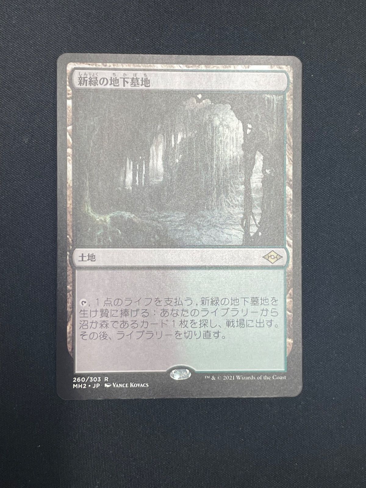 MTG・土地】新緑の地下墓地(日本語) - メルカリ MTG・土地】新緑の地下墓地(日本語) - メルカリ