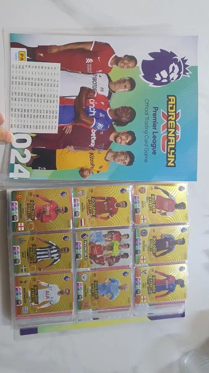 【雷市場（ポンジャン）商品韓国直送】 2024 Panini パニーニ プレミアリーグ フルセット