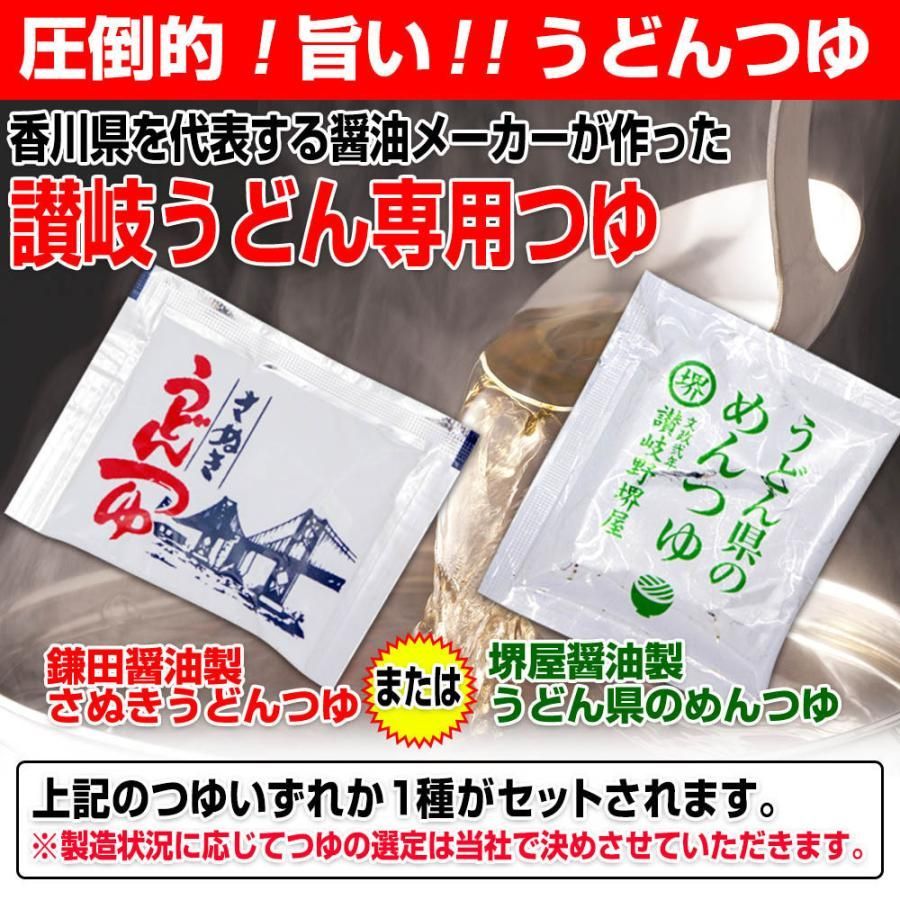 20時間熟成 半生 並麺 讃岐うどん つゆ付きセット 便利な個包装 750g 送料無料　A36