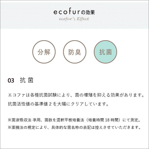 有害物質の分解 抗菌