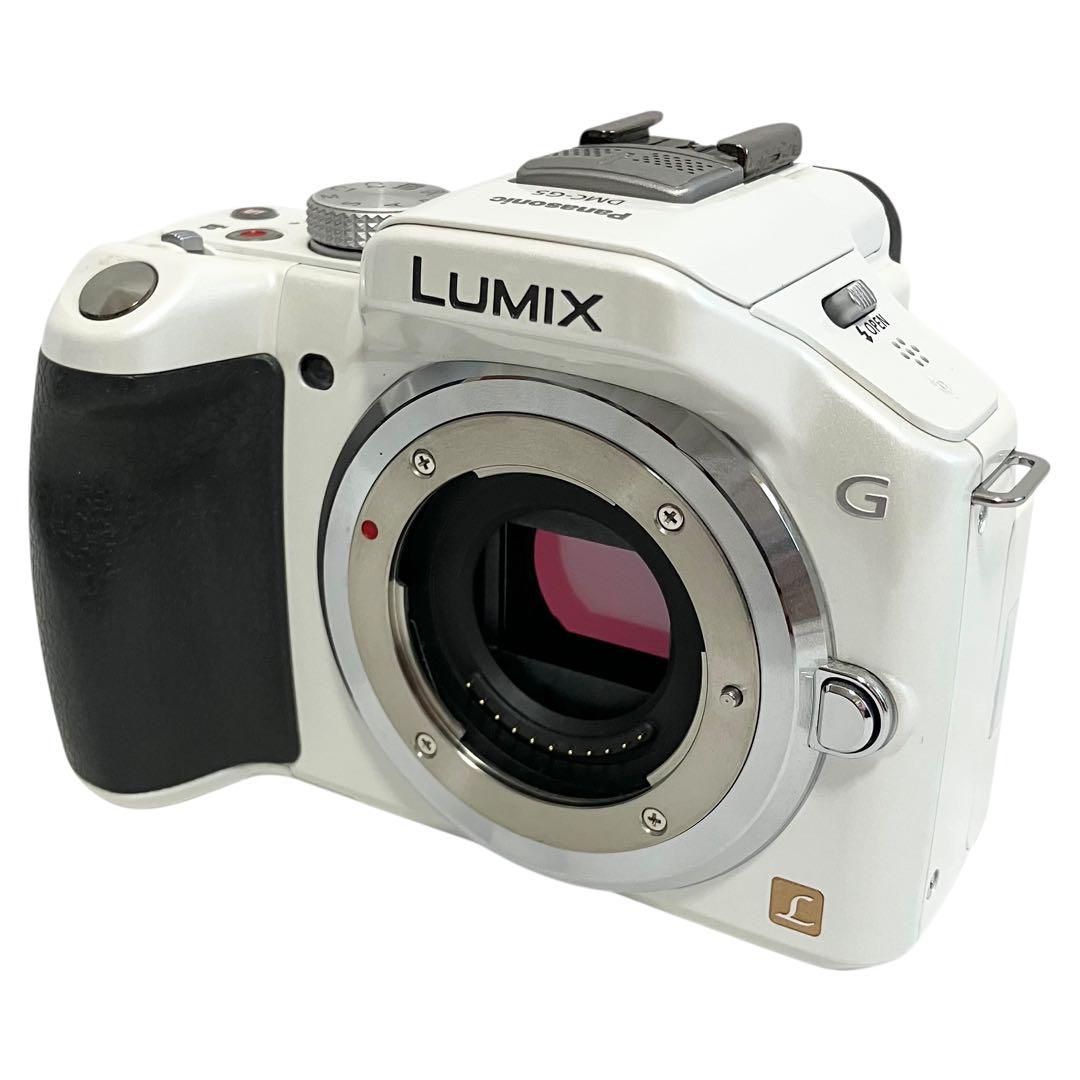 ショット数4273!□ほぼ新品□ SONY ミラーレス一眼 α6100 ボディ