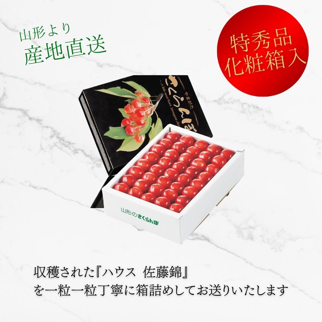 常温 温室さくらんぼ