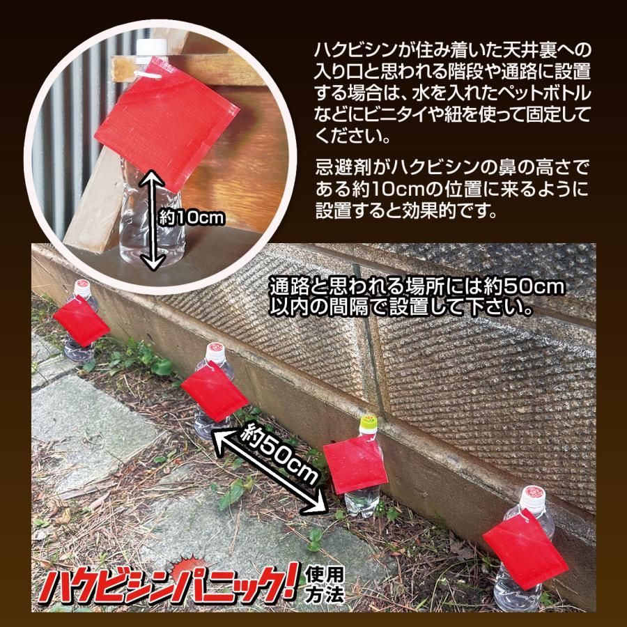 ハクビシンパニック