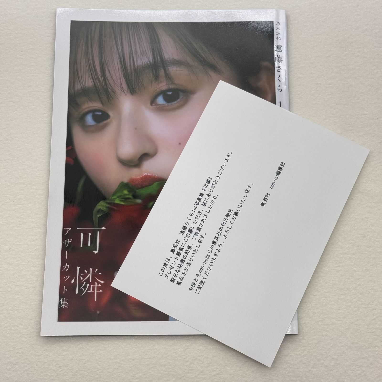 乃木坂46 遠藤さくら 1st写真集 『可憐』 アザーカット ミニブック 