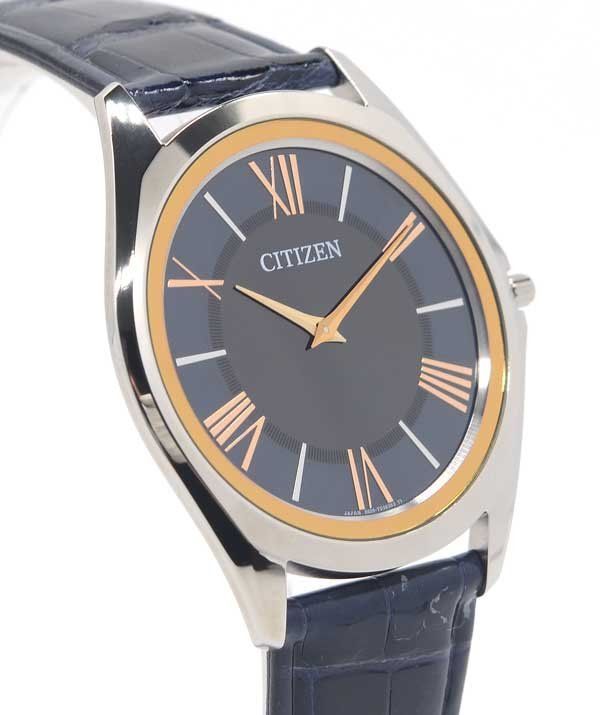 ☆未使用！CITIZEN シチズン エコ・ドライブ ワン チタニウム 特定店 