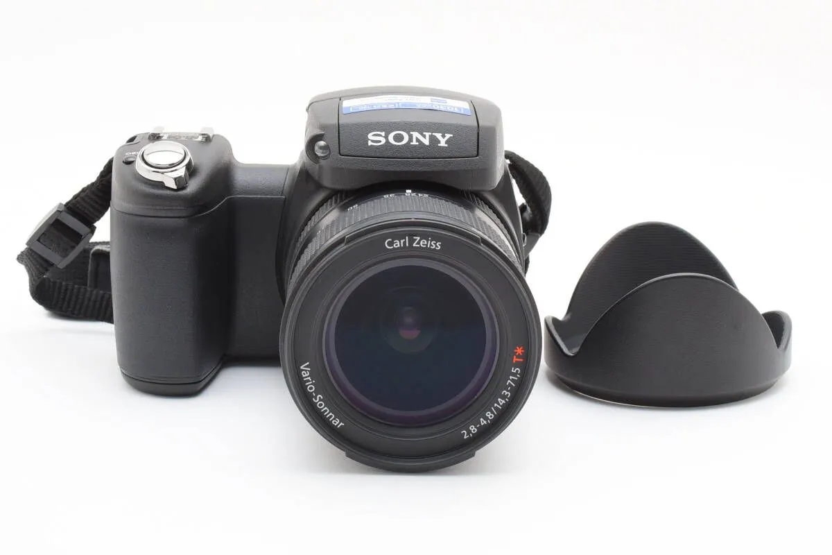 2025年最新】dsc-r1の人気アイテム - メルカリ