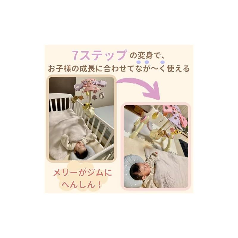 トイローヤル