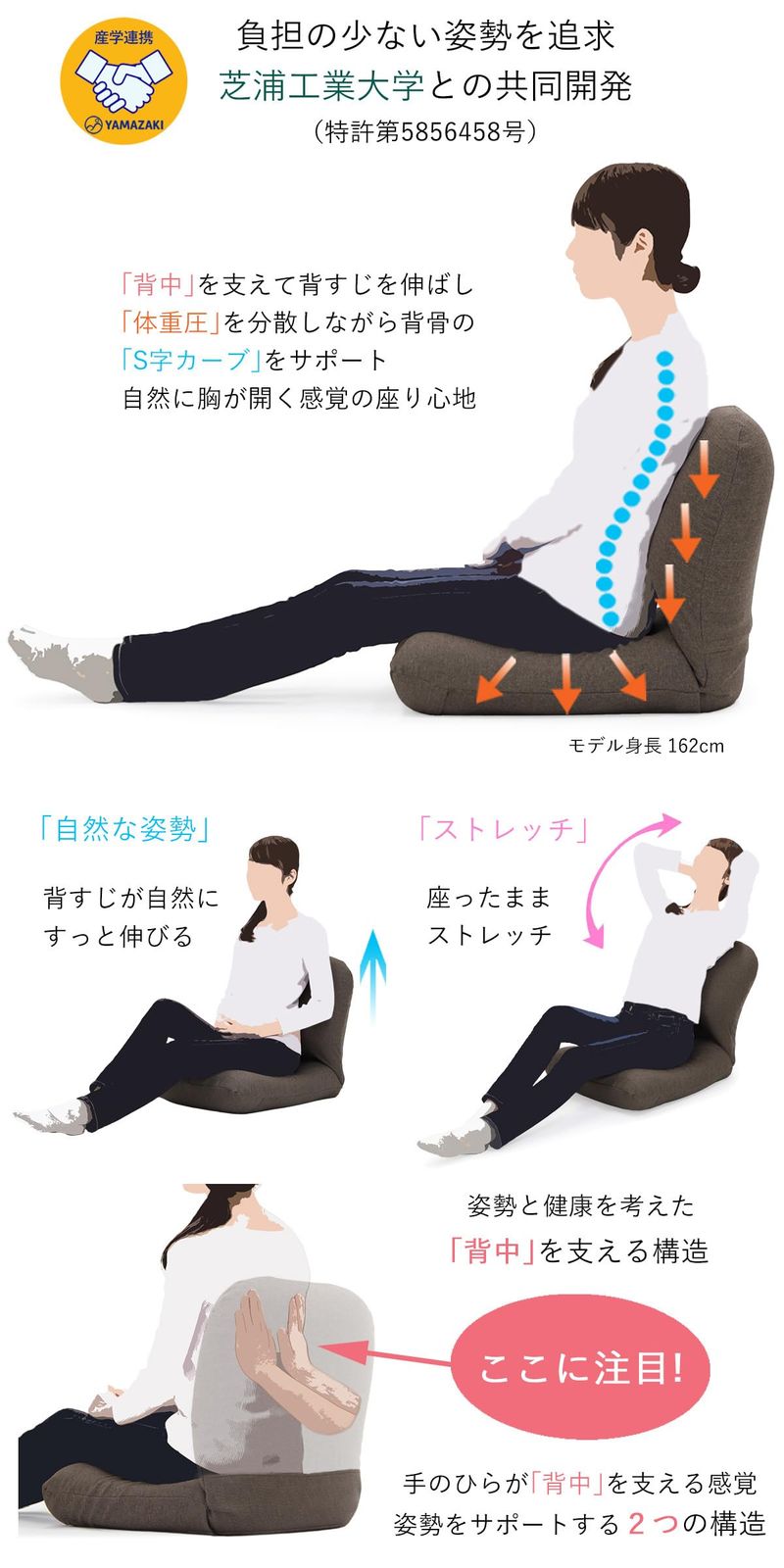 産学連携 背中を支える美姿勢座椅子５ グリーン 座椅子専科 背中間部スイング機能 背部リクライニング ストレッチ コンパクト リラックス MARWIL-DEMENAGEMENTS_CH