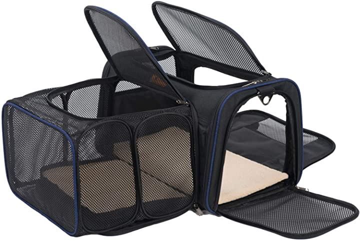 卸売 DYNASTY × ななちゃら 限定カラー バレル