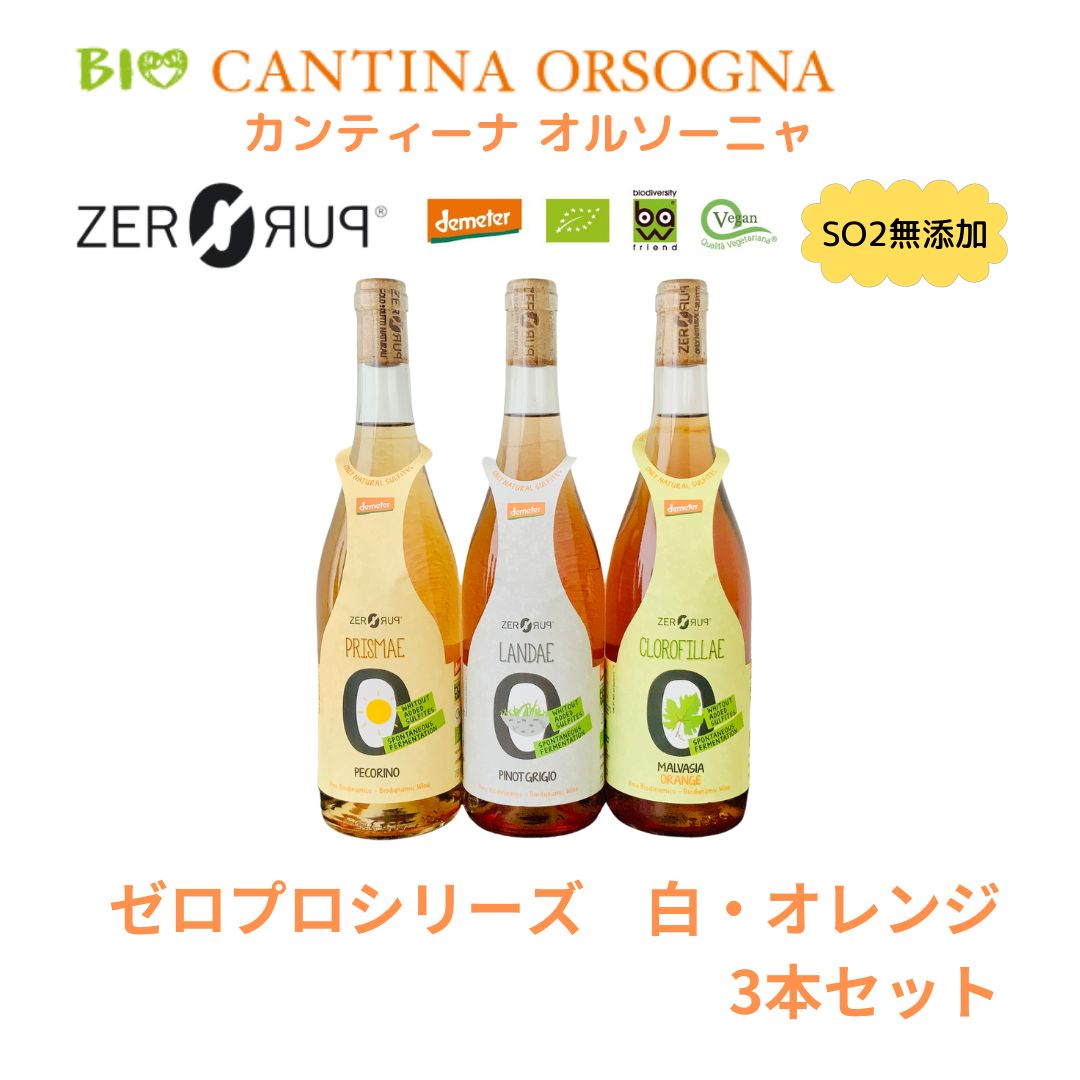 🇮🇹【CANTINA ORSOGNA 】ゼロプロシリーズ イタリアナチュラルワイン