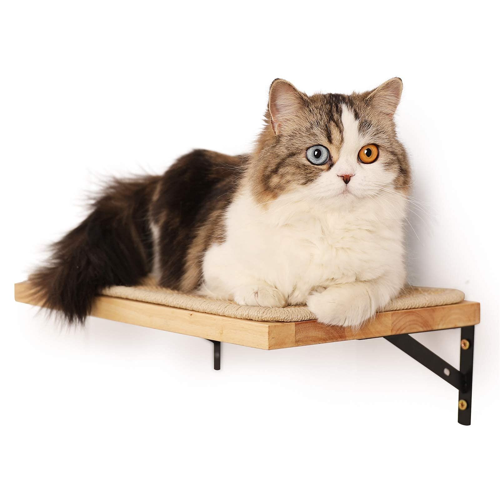 猫用品 【☆数量限定☆】FUKUMARU 壁掛け式猫用ステップ キャット