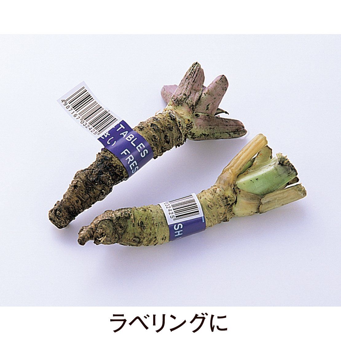 九谷焼】七福神 金彩盃セット＋九谷焼ぐい呑み 11点まとめ売り 九谷焼