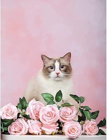 Kate 1.5x2.2m ピンク 背景布 明るいピンク 薄桃色 人物撮影 撮影用 背景 布 カスタマイズ可能背景 ピンク Kate 背景布 装飾用 カスタマイズ可能な背景 2.2x1.5m