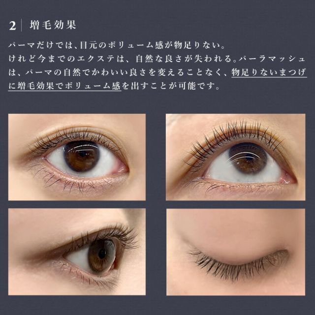 種類37:[37]Nカール・0.15/0.06mm・ネイビーアッシュ まつげ