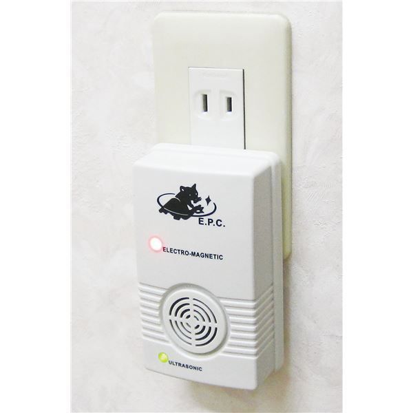 Mizuno Pro プロ支給品　バット Mizuno Pro プロ支給品 バット