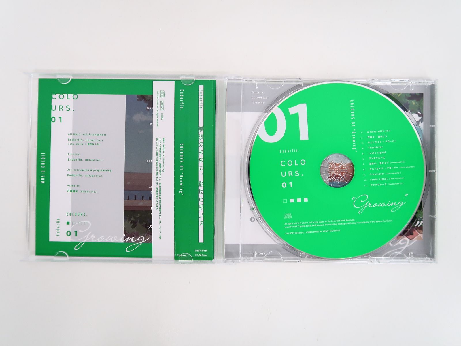 COLOURS 01 Growing Endorfin 藍月なくる 同人 CD 同人CD 藍月なくる COLOURS.01 “Growing” / Endorfin. - メルカリ