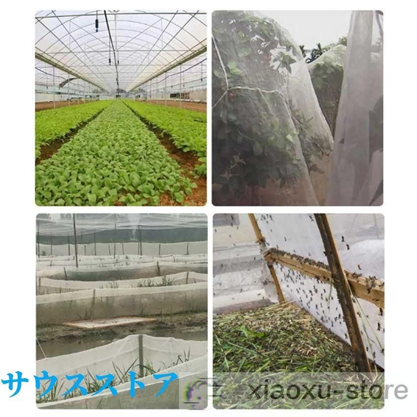 野菜栽培 防鳥