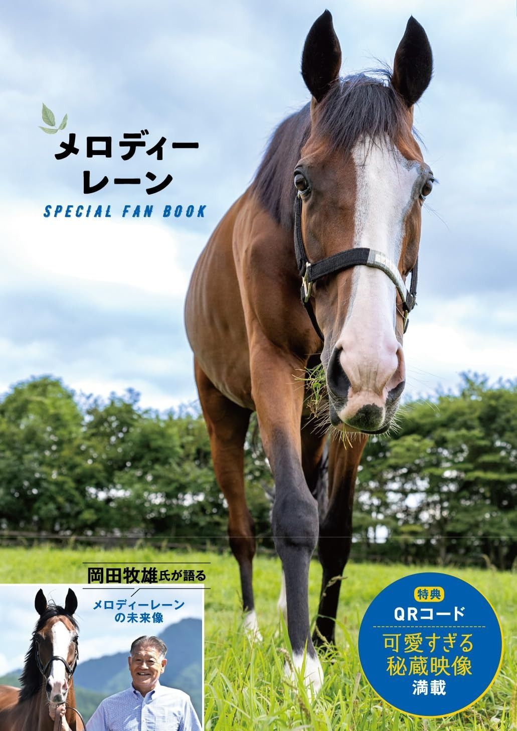 飲料・酒 omi君様のどごしzero350スタイルフリー500レモントリス350と500