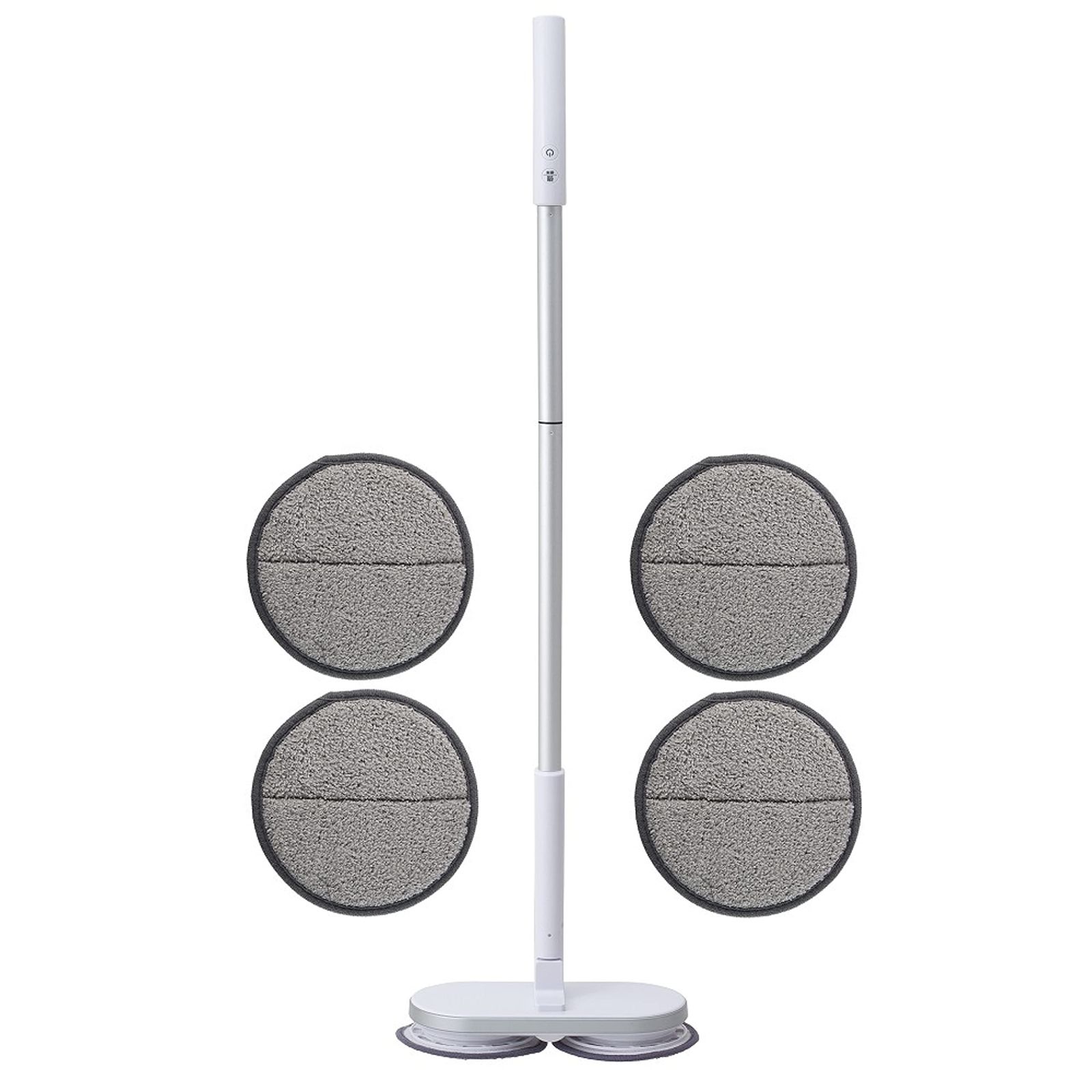 オンライン や*代様 ブセファランドラ cf. モトレイアーナ セリアン