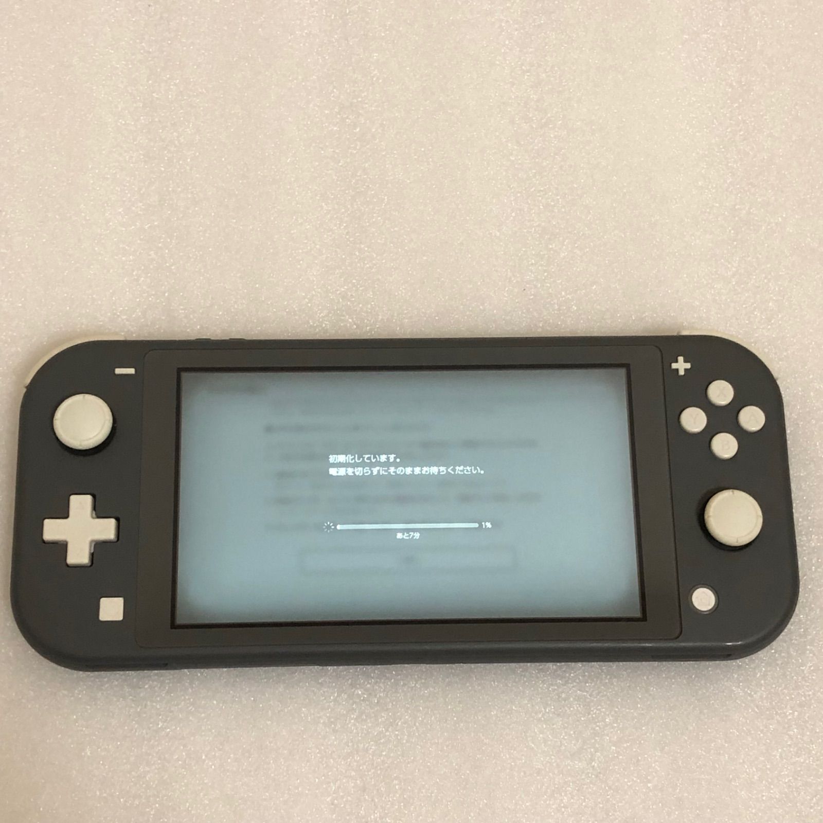 Nintendo Switch lite グレー 未使用 おまけ付き - www.sorbillomenu.com