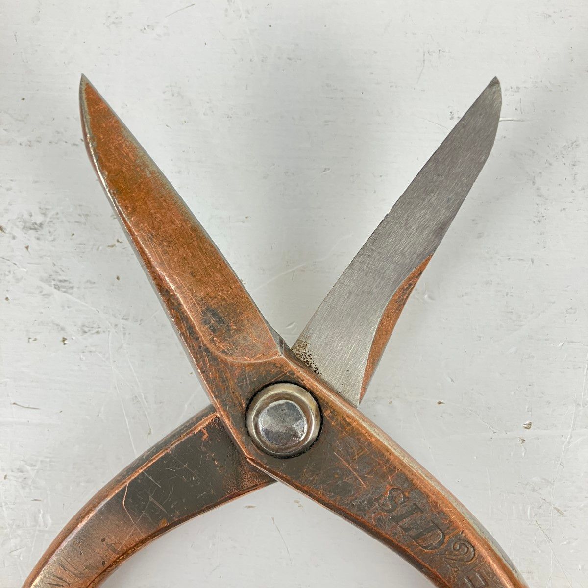 全長290ｍｍ