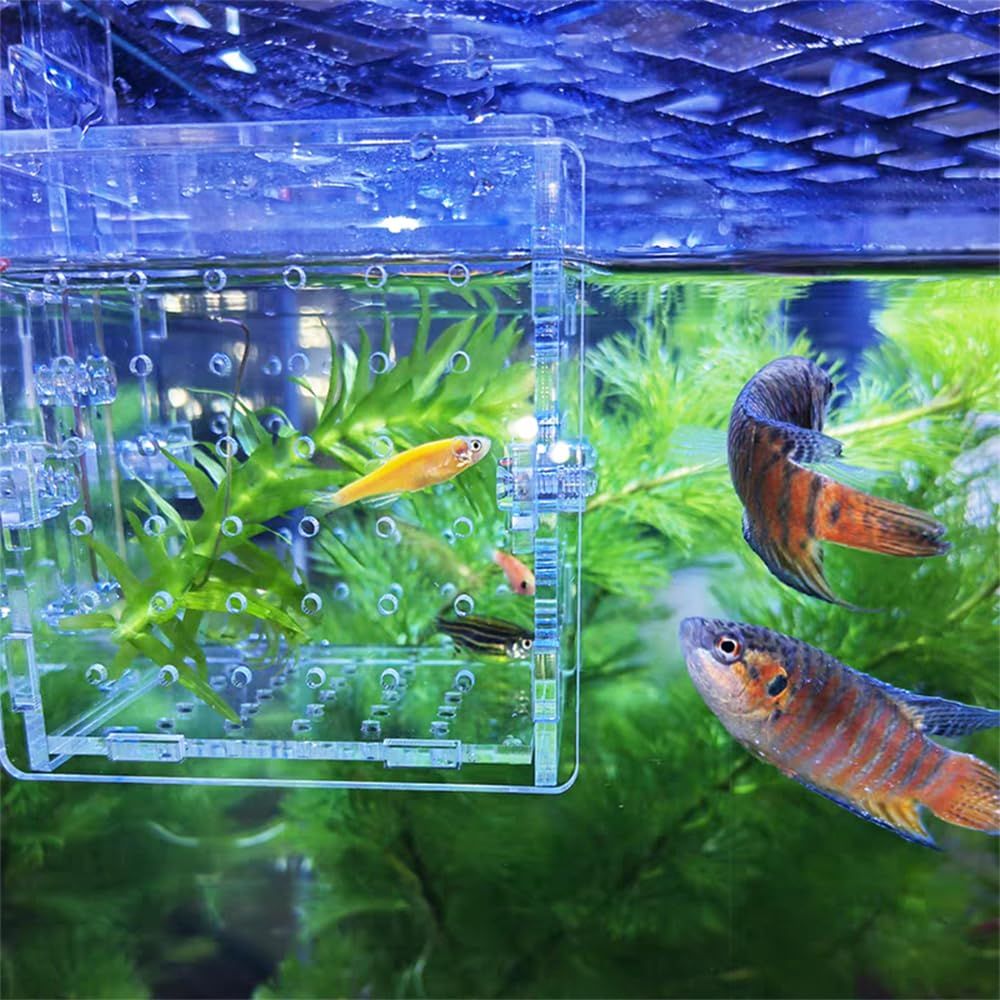 ケンページ　aquarium アクリル画 Virtual Aquarium | Yasuaki Kagii Official Website