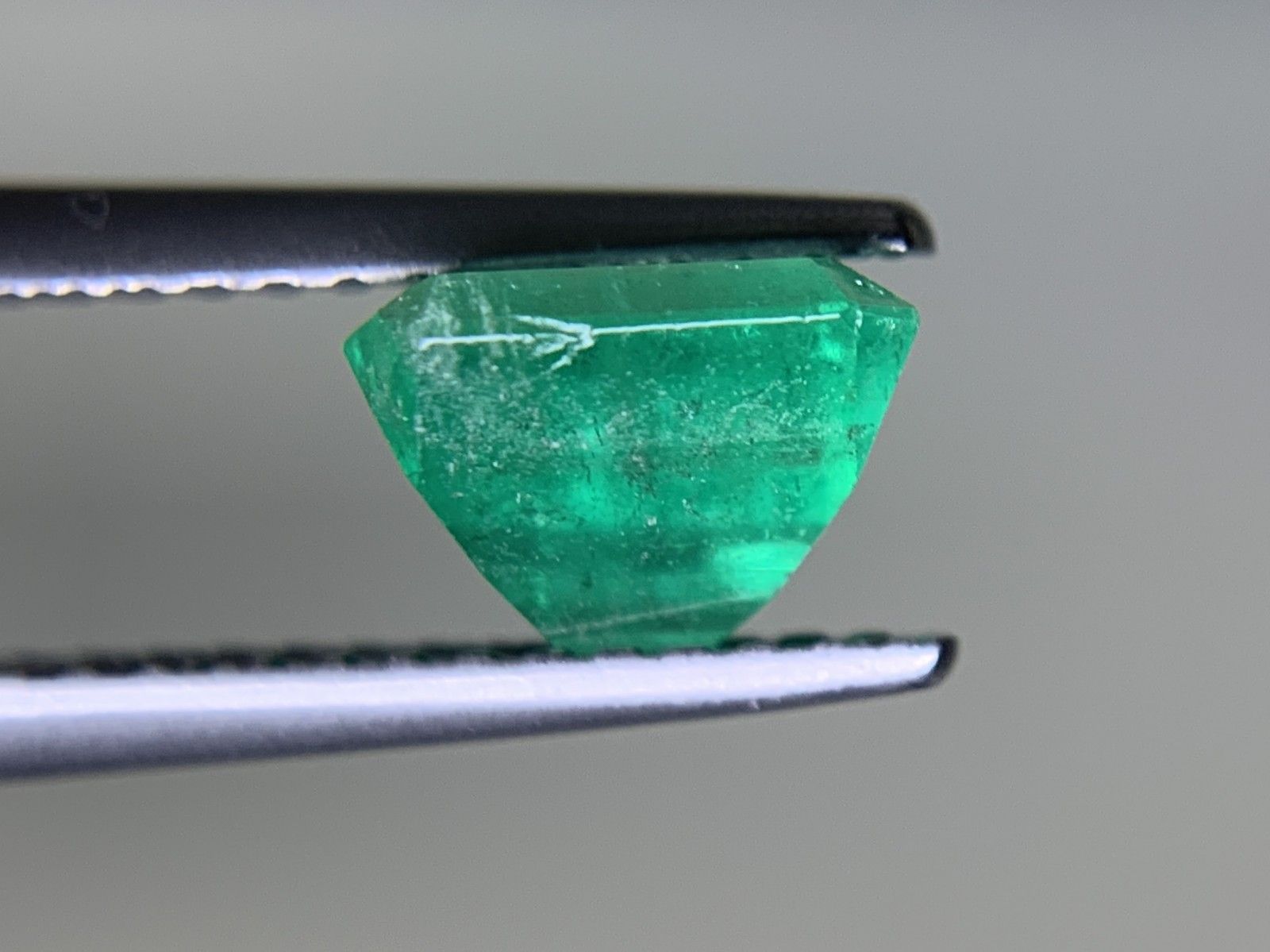 緑の火 エメラルド レンタル落ち 緑の火 エメラルド レンタル落ち 緑の火 エメラルド レンタル落ち 緑の