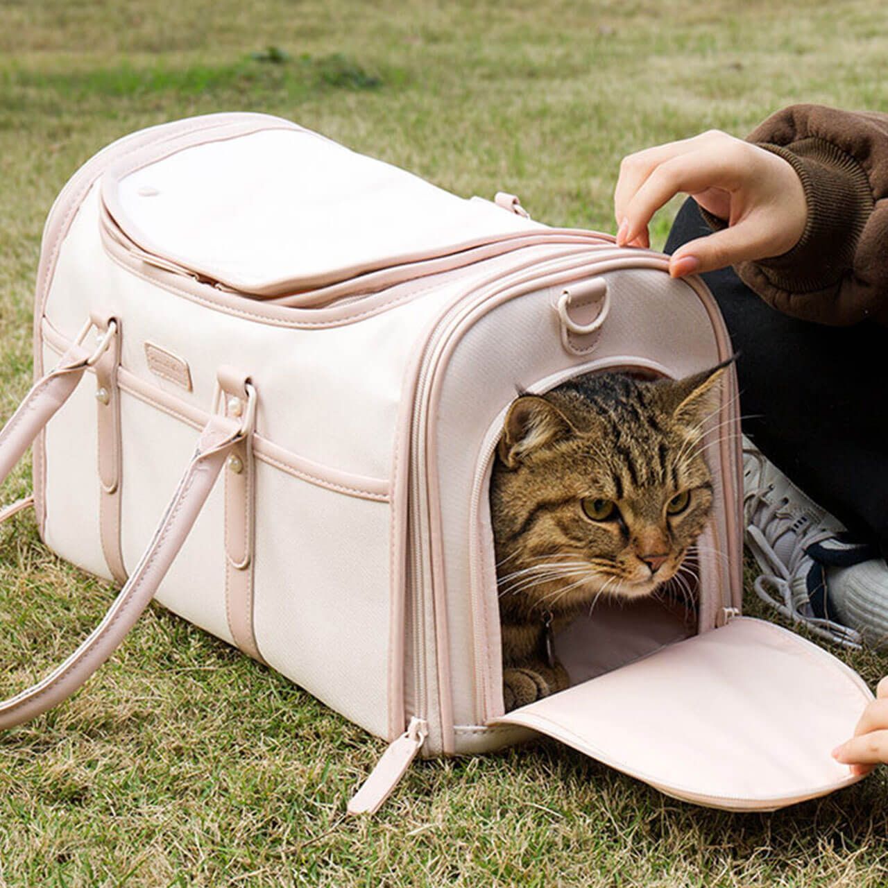 猫 レディースバック