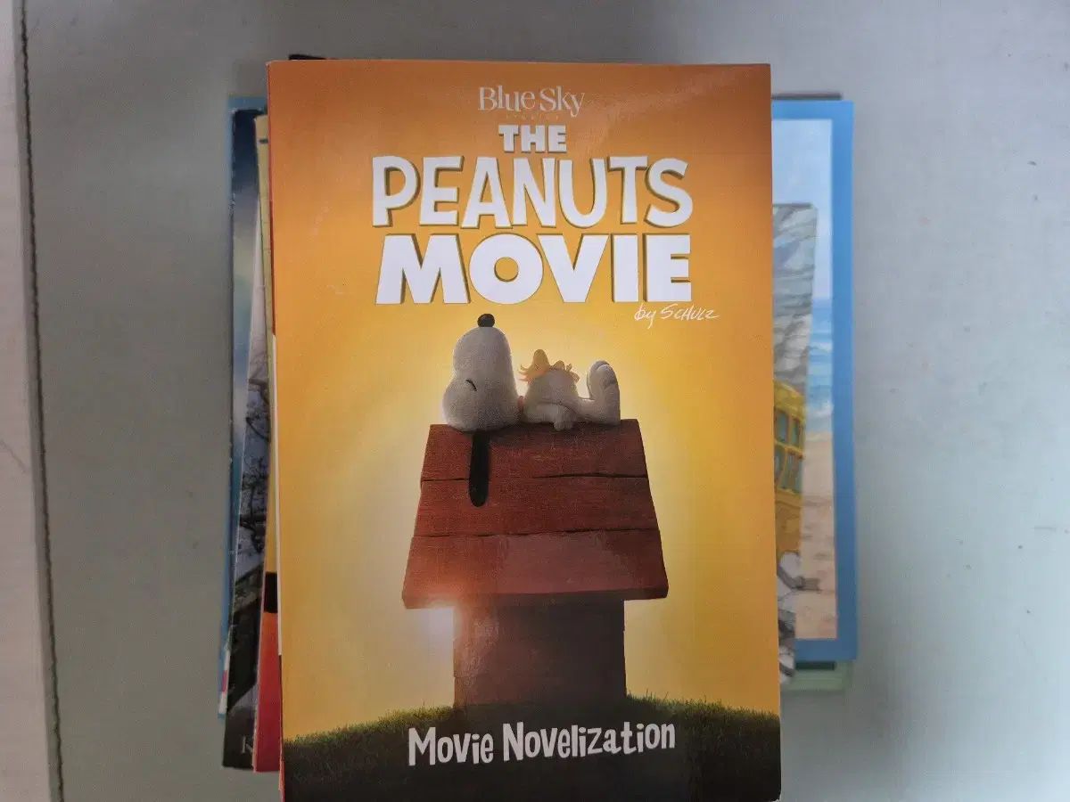 英語 願書 まとめ売り 出品