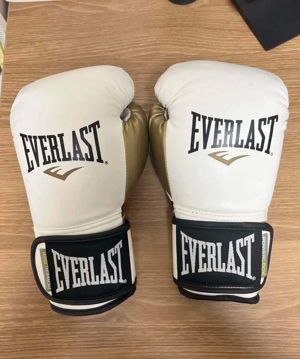 その他 WIND AND SEA × EVERLAST｜ボクシンググローブ10オンスoz