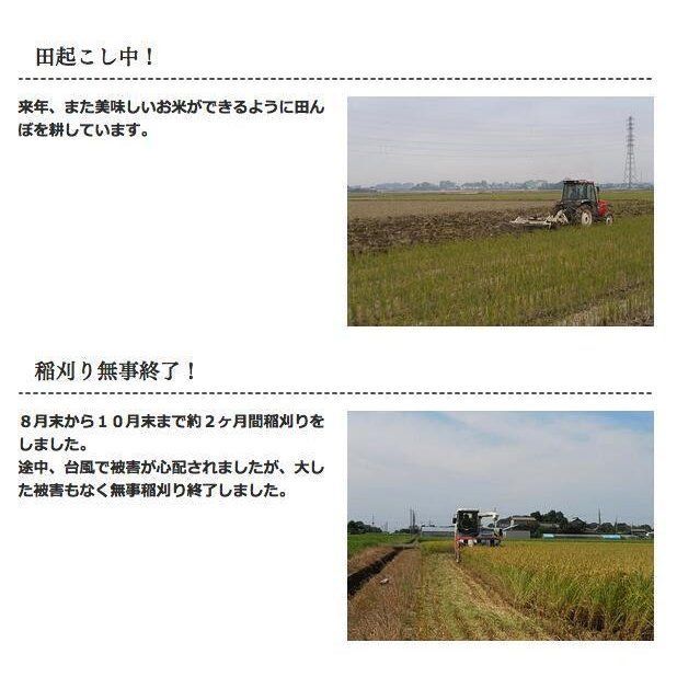 化学肥料不使用