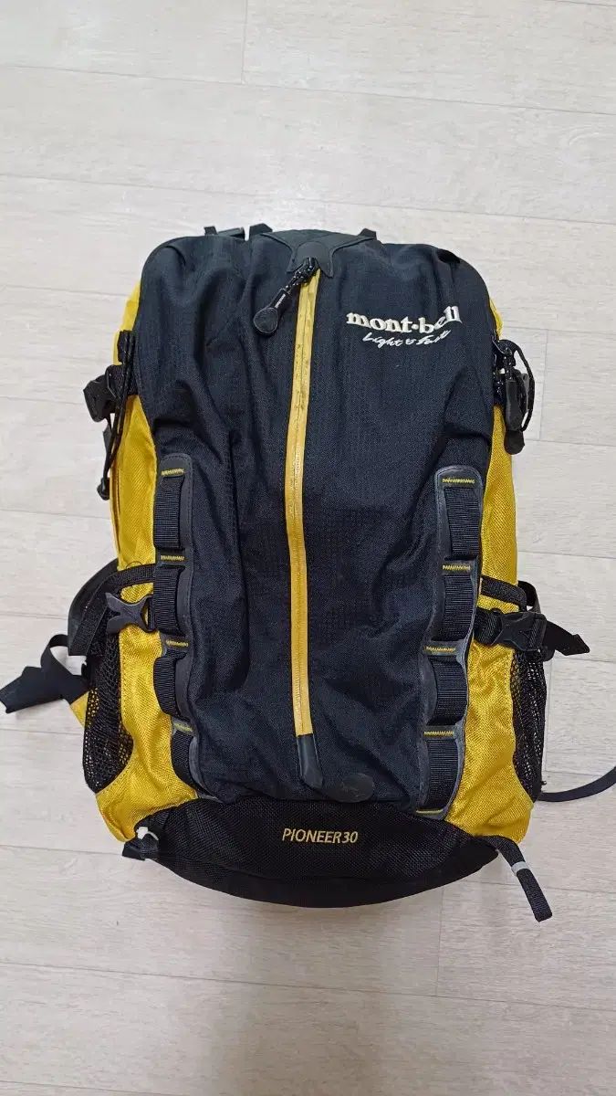 シュタイフ POSTPET モモ 限定60体 2007 ツバキ テディベア 希少