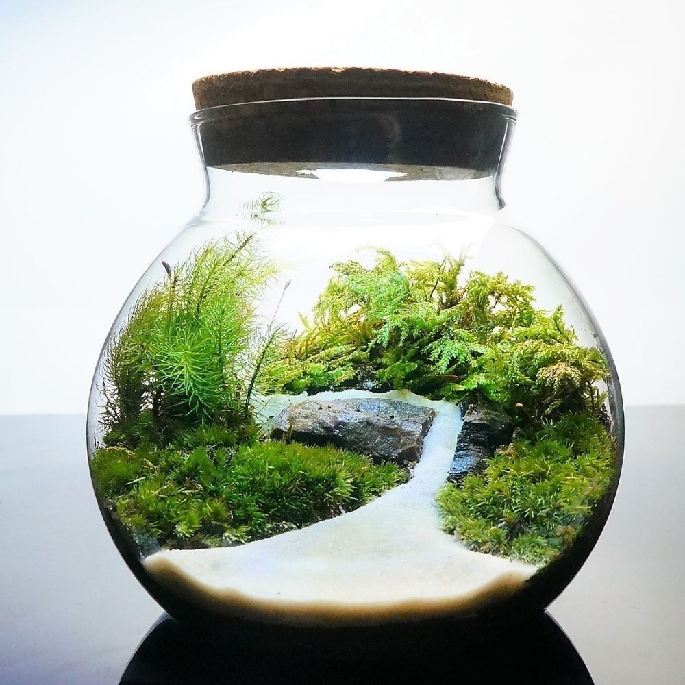 完成品 14cm LEDライト付 ボトルテラリウム 苔テラリウム 川の流れる風景 テラリウム プレゼント 観葉植物 新生活 入学祝い 会 送別会プレゼント 苔 テラリウム おしゃれ 贈り物 インテリア グリーン ギフト