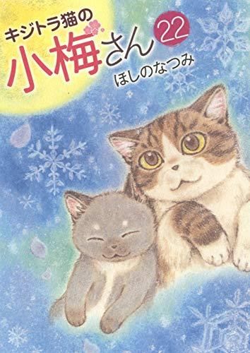 キジトラ猫の小梅さん 全巻セット 1-27巻+3冊 キジトラ猫の